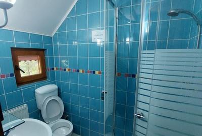 Pensiune turistica (afacere la cheie) Lepsa - 23