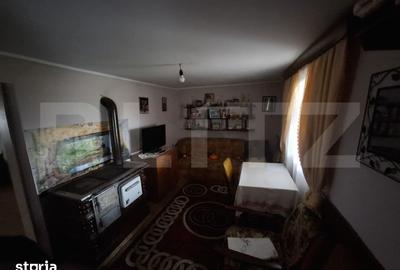 Casă cu 3 camere cu Teren 788 Mp în Ardud - 6