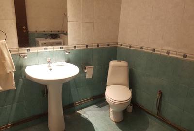 Apartament cu 3 camere semidecomandat în Parcul Carol - 14