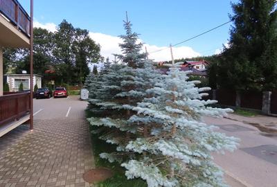 Apartament cu 2 camere decomandat în Poiana Țapului - 9