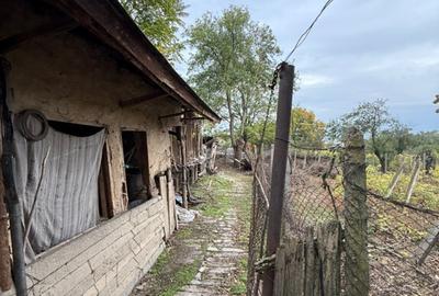 Vand Teren 970 mp cu casa + anexe, Stane?tiBalanu - 3