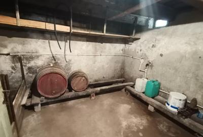 VAND CASA 4 camere ,curte si gradina de 536 mp,sat.Rod VAND CASA 4 camere ,curte si gradina de 536 mp,sat.Rod - 11