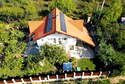 Casa boiereasca, rafinata si luxoasa cu 8 camere, 480mp, Chicerea - 2