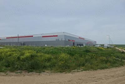 Teren de 25000 mp, în Lazu