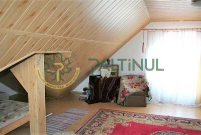 Vila Șelimbăr - 700 mp teren, jacuzzi, semineu, front stradal 30 ml - 21