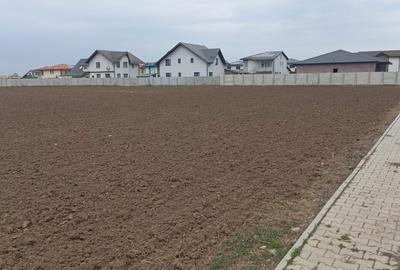 Teren Construcții intravilan de 5000 mp, în Dragomirești-Deal - 2