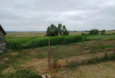 Casa de vanzare foarte ieftina si cu utilitati bune - 3