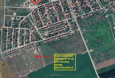 Teren intravilan 483 mp Vladimirescu Via Carmina str.Mesteacanului fs.14 ml - 3