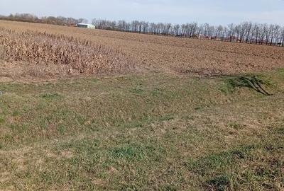 Teren de 6300 mp, în Apa - 4