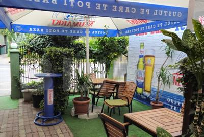 Spatiu comercial, 100 mp, terasa, Bld. Castanilor Spatiu comercial, 100 mp, terasa, Bld. Castanilor - 16