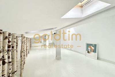 VILA INTERBELICA RENOVATA/CURTE/PRETABILA ACTIVITATI COMERCIALE/DOROBANTI - 3