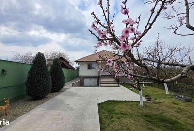 Casă cu 3 camere în Cihei - 12