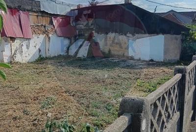 Teren 189mp sect 2 - 11