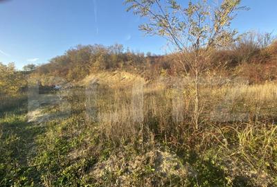 Teren intravilan in zona Sarmas in suprafata de 5332 mp - 1