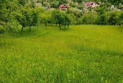 Casă cu 2 camere în Onești - 4