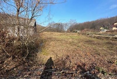 TAUTII MAGHERAUS strada 74 teren intravilan de aprox 36ari ! - 4