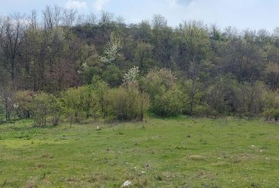 Teren în Central - 9