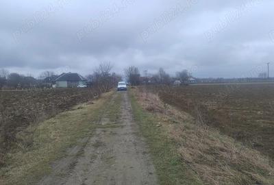 Teren de 5900 mp, în Central - 3