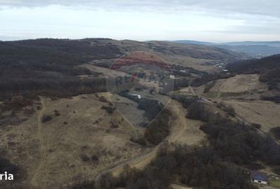 Spațiu comercial, în Tăuți - 13