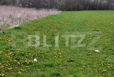 Teren intravilan 382mp, cu Puz aprobat prin HCL, in zona Bor - 3