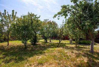 Casa cu 2 corpuri, piscina si 3.235 mp teren in Ghioroc - 40