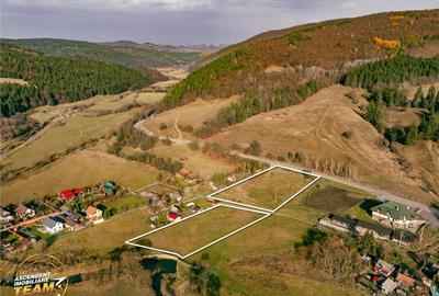 FILM! Teren cu potential, 6.700 mp, langa drumul principal, - 9