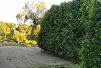 Vand casa unifamiliala - 3