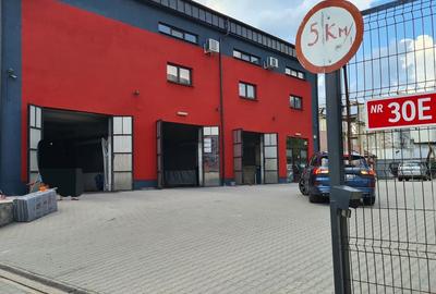 Spațiu comercial, de 400 mp, în Valea Borcutului - 5