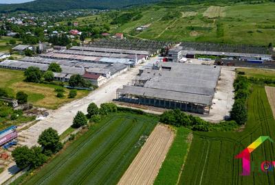 Teren 100.000 mp + Spatii Industriale Bacau - 8