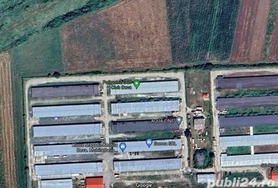 Inchiriez spa?iu expozi?ional-birou amenajat in Bazar Balata-?oimus - 2