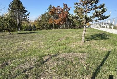 Spațiu comercial, în Găneasa - 1