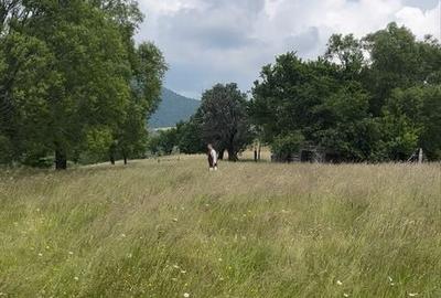 Teren de 8800 mp, în Peștera - 5