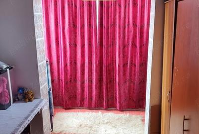 Apartament cu 2 camere semidecomandat în Lazu - 7