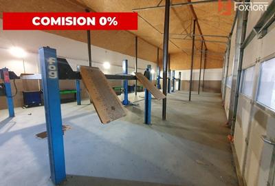Comision 0% Afacere la cheie: service auto de inchiriat 246 mp utili, Sag - 3