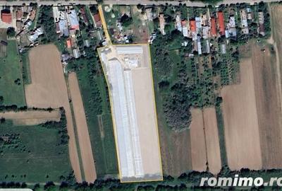 Spațiu comercial, de 11,000 mp, în Ulmi - 2