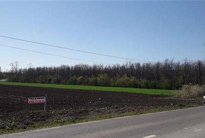 Teren de 25000 mp, în Afumați - 2