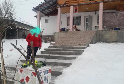 Casă în Sângeorgiu de Mureș - 7