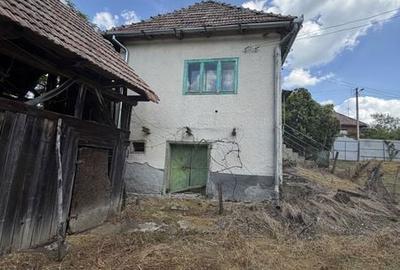Casă cu 3 camere cu Teren 29000 Mp în Central