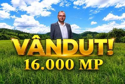 Teren de 16000 mp, în Borlovenii Noi - 8