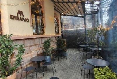 Tineretului parc Carol  Cafenea-restaurant si minihotel - 13