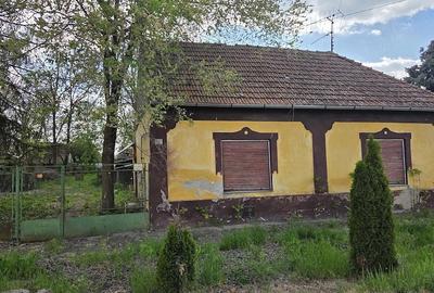 Casă cu 3 camere cu Teren 1770 Mp în Central - 6
