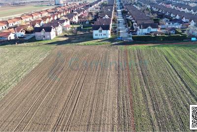 Teren Construcții intravilan de 8632 mp, în Paleu - 3