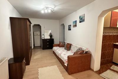 Garsonieră în Paltin - 3