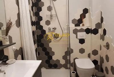 Apartament cu 2 camere decomandat în Arcu - 3