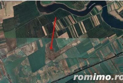 Teren Gradinari, cota 1/2. ID: R1983933 - 6