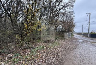 Casa tip duplex Balotesti - Codrii Vlasiei - 28