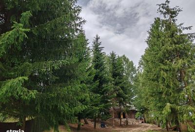 Apartament cu 3 camere în Glăjărie - 4