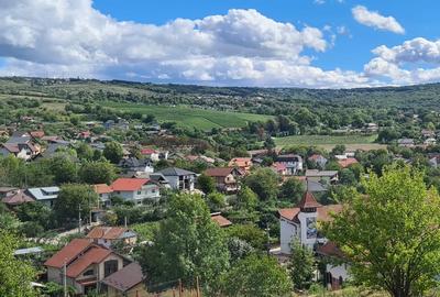 Teren de 1000 mp, în Bucium - 4