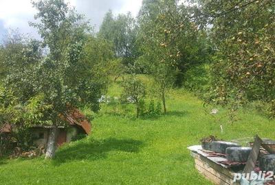 Casă cu Teren 2400 Mp în Cavnic - 8