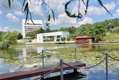 Vila de vanzare cu iesire (ponton) la lacul Snagov, in Izvorani - 20
